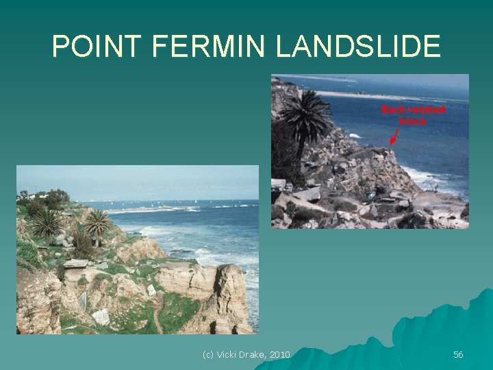 POINT FERMIN LANDSLIDE (c) Vicki Drake, 2010 56 