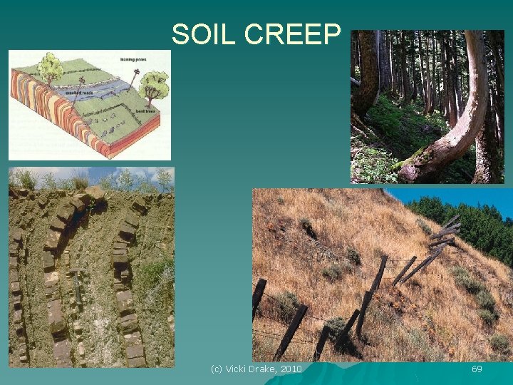 SOIL CREEP (c) Vicki Drake, 2010 69 
