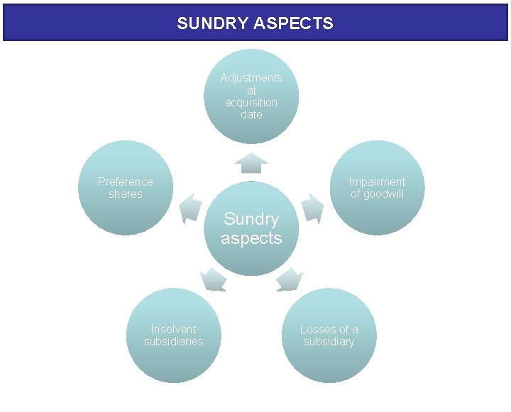 SUNDRY ASPECTS Adjustments at acquisition date Preference shares Impairment of goodwill Sundry aspects Insolvent