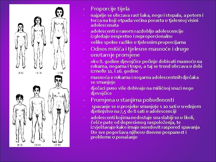  • ⁻ ⁻ ⁻ • ⁻ ⁻ Proporcije tijela najprije se ubrzava rast