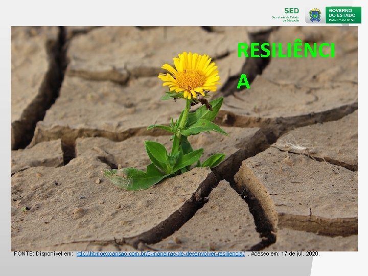 RESILIÊNCI A FONTE: Disponível em: http: //ritmoexpansao. com. br/3 -maneiras-de-desenvolver-resiliencia/. Acesso em: 17 de