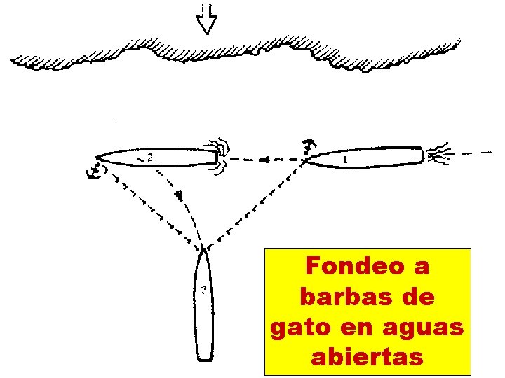 Fondeo a barbas de gato en aguas abiertas 