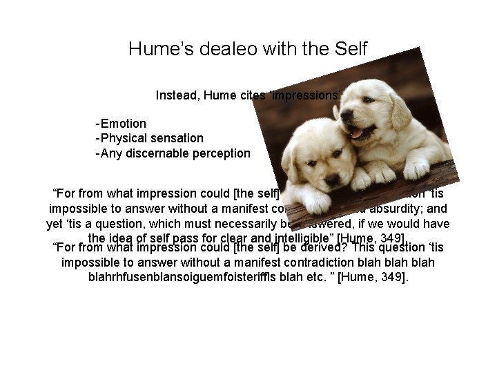 Hume’s dealeo with the Self Instead, Hume cites ‘impressions’ -Emotion -Physical sensation -Any discernable Hume’s dealeo with the Self Instead, Hume cites ‘impressions’ -Emotion -Physical sensation -Any discernable