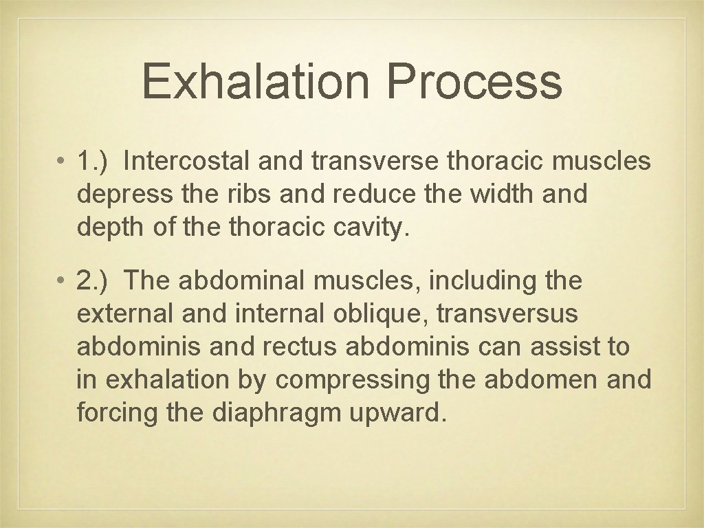 Exhalation Process • 1. ) Intercostal and transverse thoracic muscles depress the ribs and