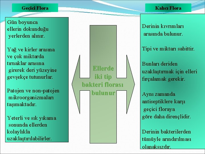Geçici Flora Kalıcı Flora Gün boyunca ellerin dokunduğu yerlerden alınır. Yağ ve kirler arasına Geçici Flora Kalıcı Flora Gün boyunca ellerin dokunduğu yerlerden alınır. Yağ ve kirler arasına