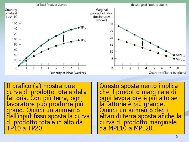 Il grafico (a) mostra due curve di prodotto totale della fattoria. Con più terra,