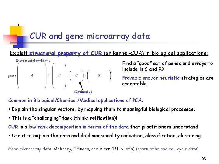 CUR and gene microarray data Exploit structural property of CUR (or kernel-CUR) in biological