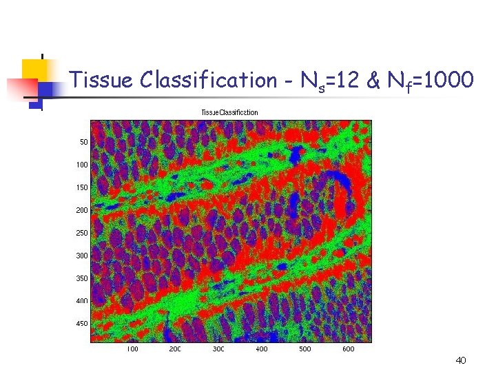 Tissue Classification - Ns=12 & Nf=1000 40 