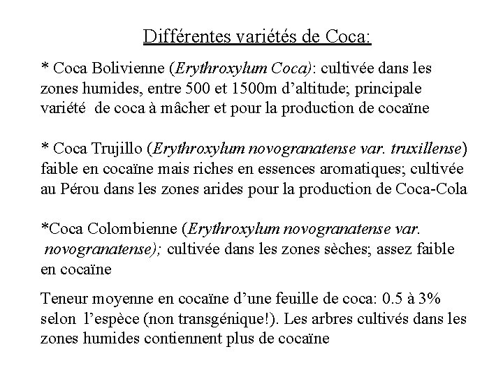 Différentes variétés de Coca: * Coca Bolivienne (Erythroxylum Coca): cultivée dans les zones humides,
