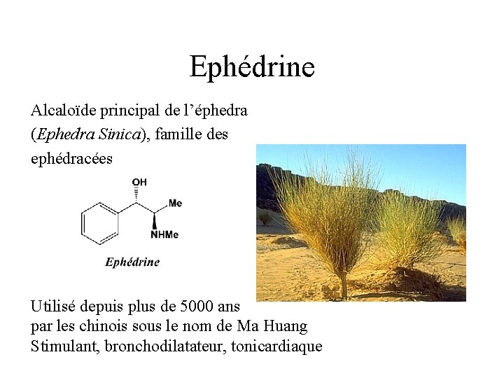 Ephédrine Alcaloïde principal de l’éphedra (Ephedra Sinica), famille des ephédracées Utilisé depuis plus de