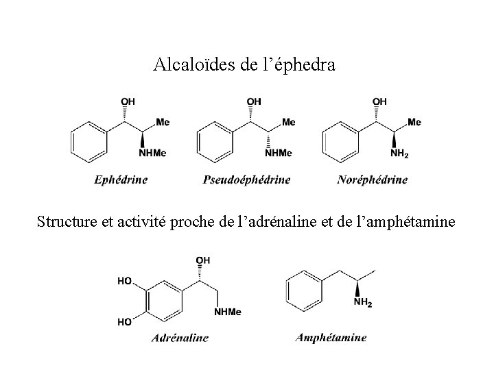 Alcaloïdes de l’éphedra Structure et activité proche de l’adrénaline et de l’amphétamine 