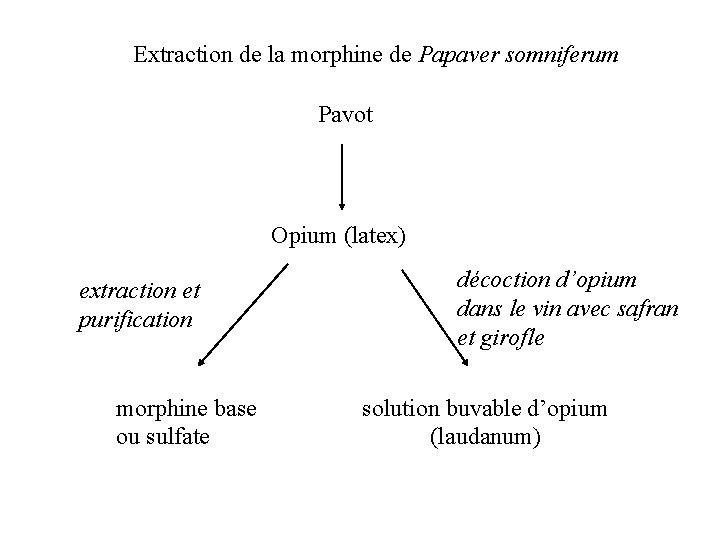 Extraction de la morphine de Papaver somniferum Pavot Opium (latex) extraction et purification morphine