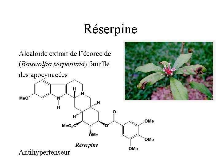 Réserpine Alcaloïde extrait de l’écorce de (Rauwolfia serpentina) famille des apocynacées Antihypertenseur 
