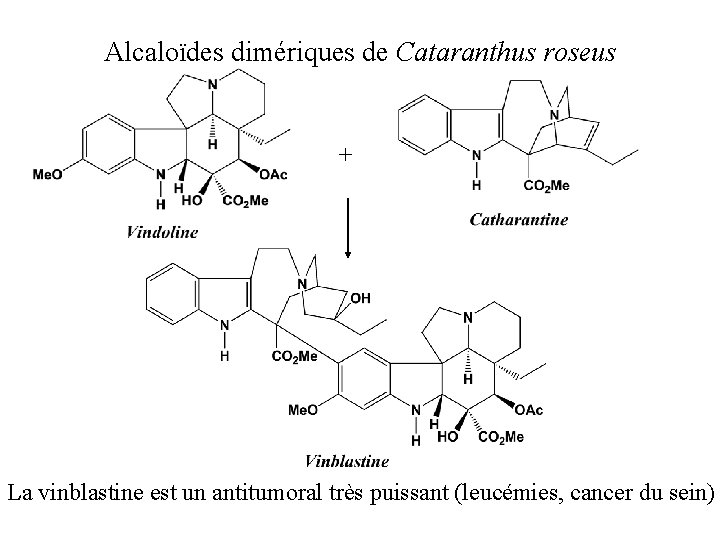 Alcaloïdes dimériques de Cataranthus roseus + La vinblastine est un antitumoral très puissant (leucémies,