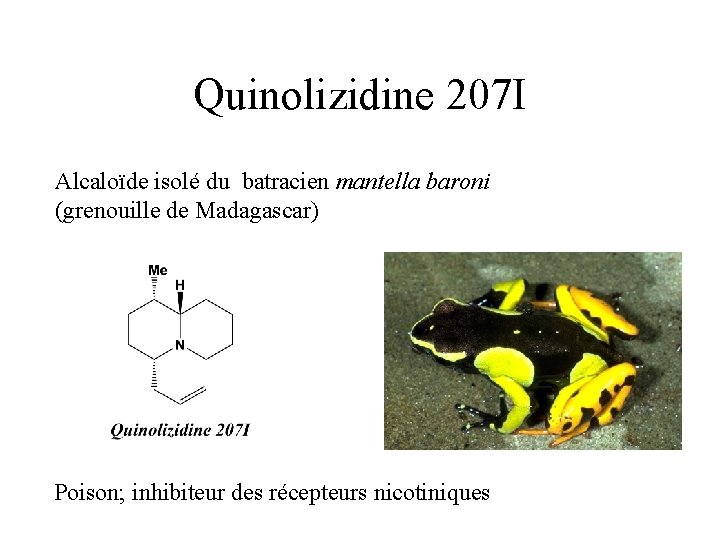 Quinolizidine 207 I Alcaloïde isolé du batracien mantella baroni (grenouille de Madagascar) Poison; inhibiteur