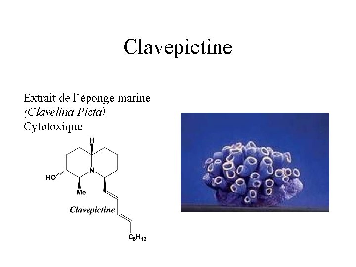 Clavepictine Extrait de l’éponge marine (Clavelina Picta) Cytotoxique 