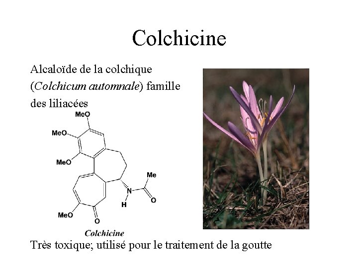 Colchicine Alcaloïde de la colchique (Colchicum automnale) famille des liliacées Très toxique; utilisé pour