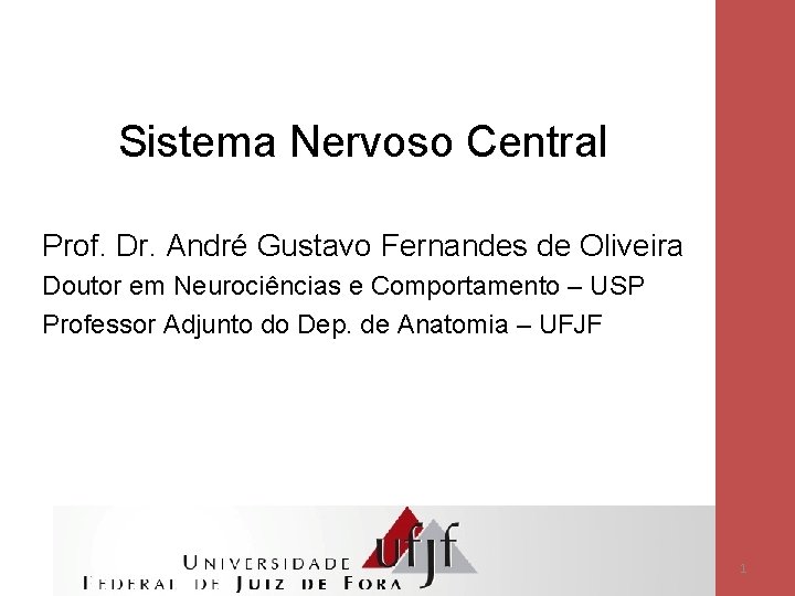 Sistema Nervoso Central Prof. Dr. André Gustavo Fernandes de Oliveira Doutor em Neurociências e
