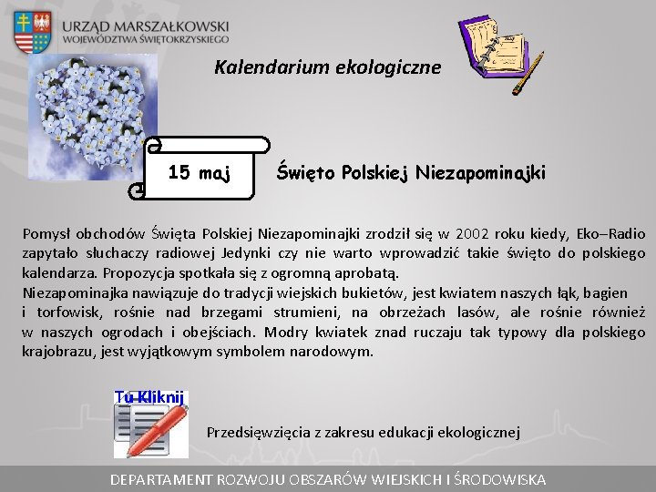 Kalendarium ekologiczne 15 maj Święto Polskiej Niezapominajki Pomysł obchodów Święta Polskiej Niezapominajki zrodził się