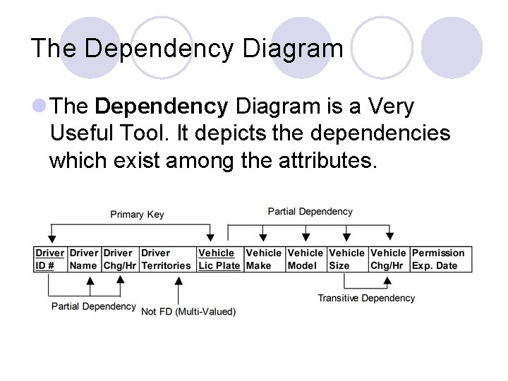 The Dependency Diagram l The Dependency Diagram is a Very Useful Tool. It depicts