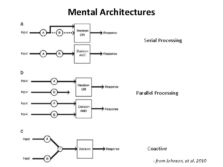 Mental Architectures Serial Processing Parallel Processing Coactive - from Johnson, et al. 2010 Mental Architectures Serial Processing Parallel Processing Coactive - from Johnson, et al. 2010