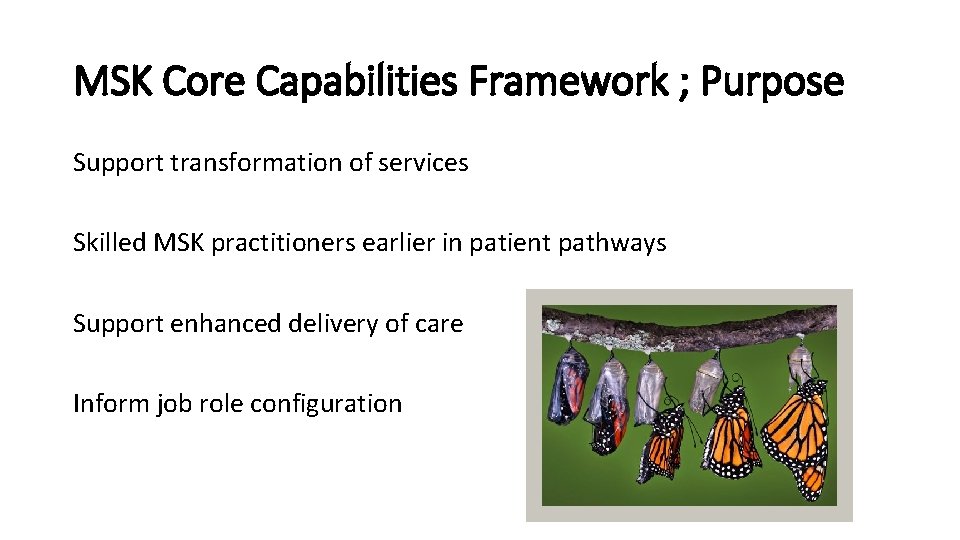 MSK Core Capabilities Framework ; Purpose Support transformation of services Skilled MSK practitioners earlier