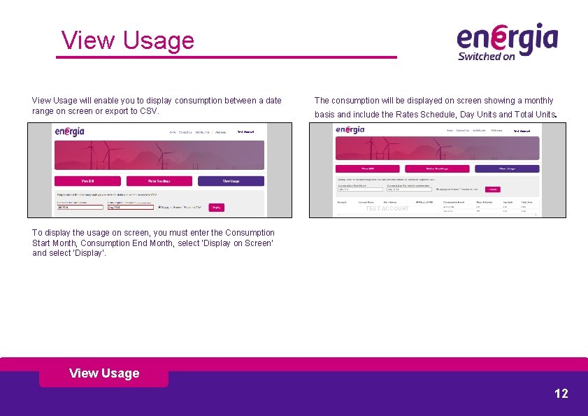 View Usage will enable you to display consumption between a date range on screen