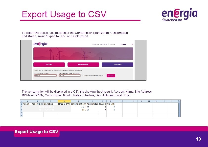 Export Usage to CSV To export the usage, you must enter the Consumption Start