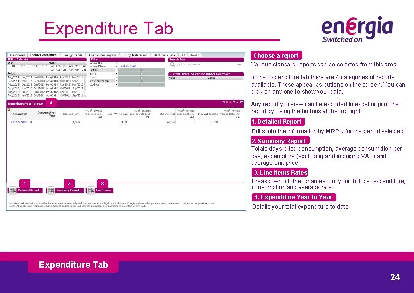 Expenditure Tab Choose a report Various standard reports can be selected from this area.