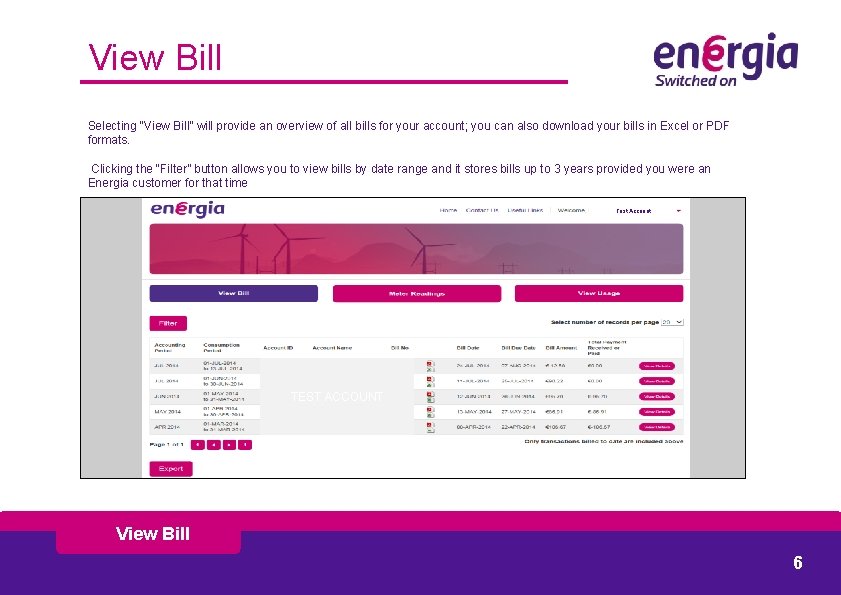 View Bill Selecting “View Bill” will provide an overview of all bills for your