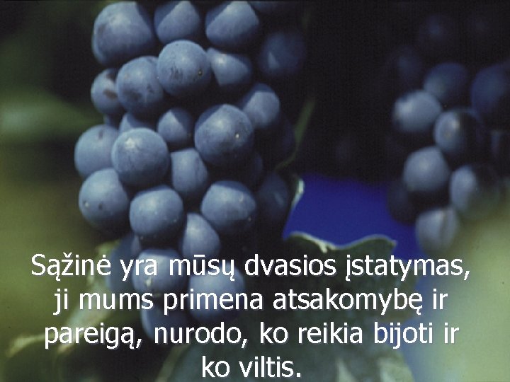 Sąžinė yra mūsų dvasios įstatymas, ji mums primena atsakomybę ir pareigą, nurodo, ko reikia