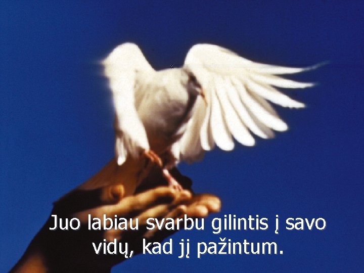 Juo labiau svarbu gilintis į savo vidų, kad jį pažintum. 