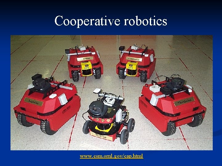 Cooperative robotics www. csm. ornl. gov/cap. html 
