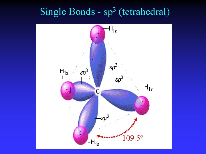 Single Bonds - sp 3 (tetrahedral) 109. 5° 