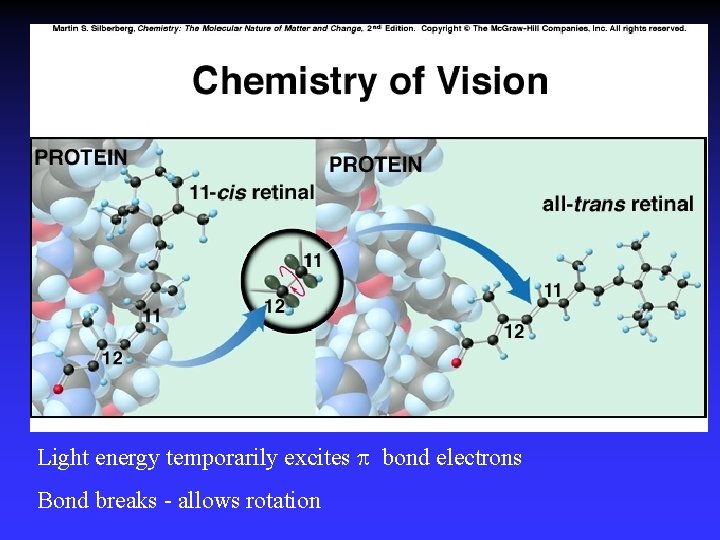 Light energy temporarily excites bond electrons Bond breaks - allows rotation 