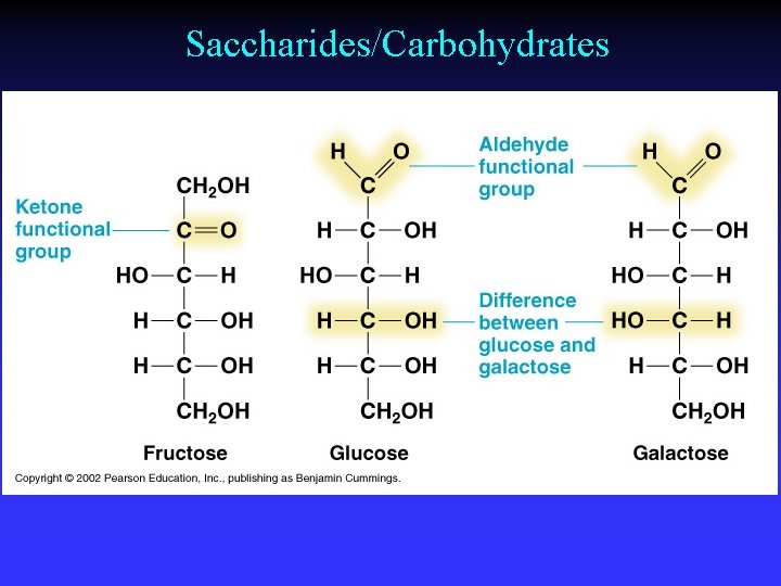 Saccharides/Carbohydrates 