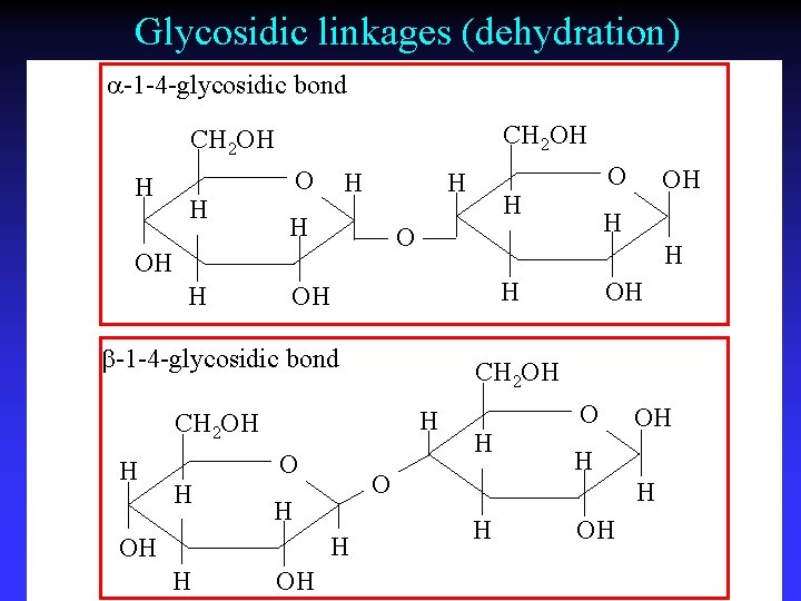 Glycosidic linkages (dehydration) a-1 -4 -glycosidic bond CH 2 OH H H OH H