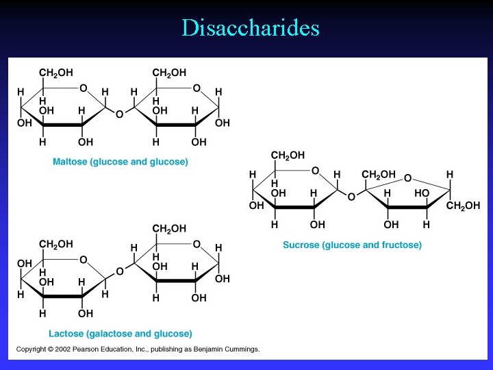 Disaccharides 