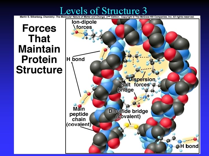 Levels of Structure 3 