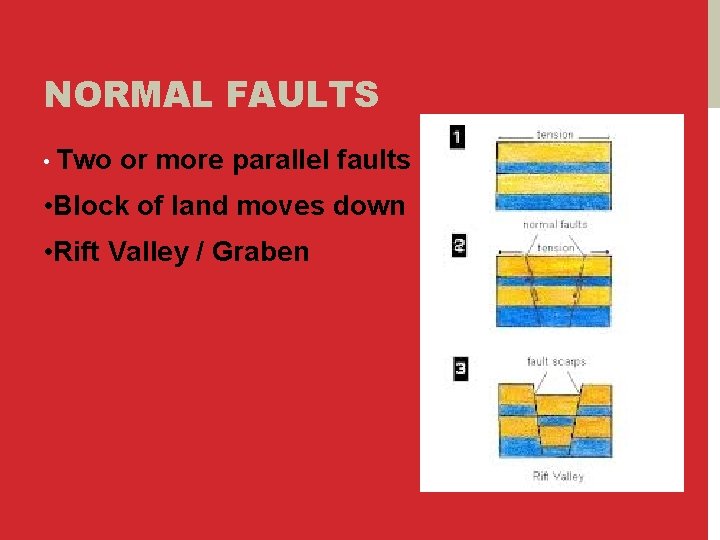 NORMAL FAULTS • Two or more parallel faults • Block of land moves down