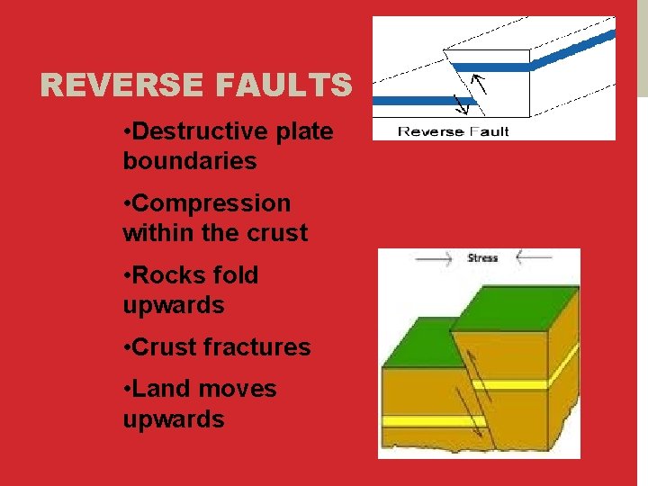 REVERSE FAULTS • Destructive plate boundaries • Compression within the crust • Rocks fold