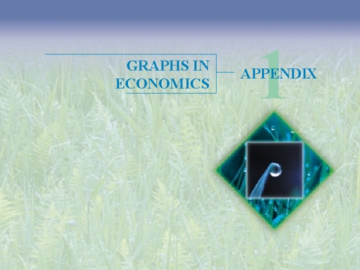 GRAPHS IN ECONOMICS 1 APPENDIX 