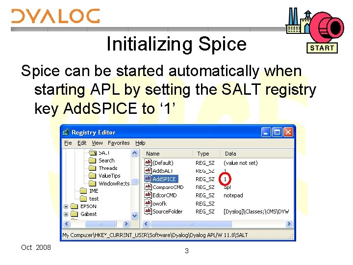 Initializing Spice can be started automatically when starting APL by setting the SALT registry