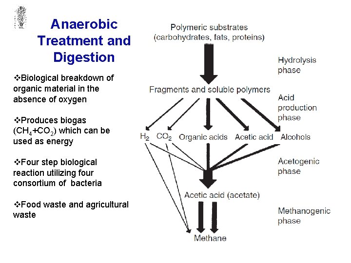 Anaerobic Treatment and Digestion v. Biological breakdown of organic material in the absence of