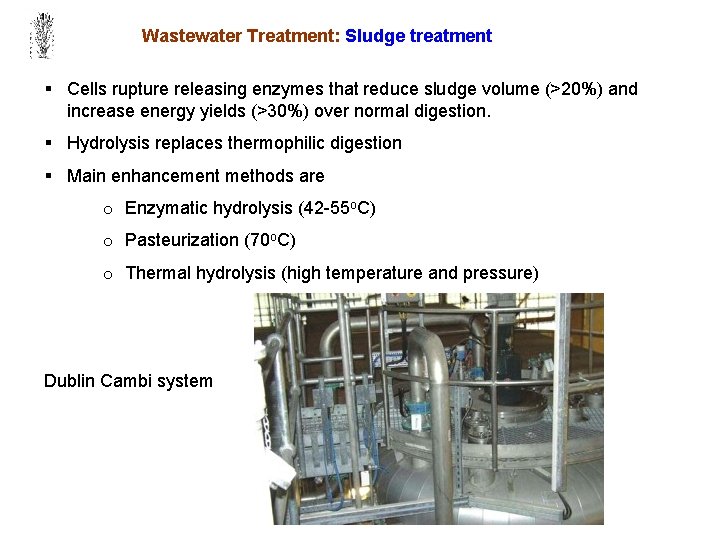 Wastewater Treatment: Sludge treatment § Cells rupture releasing enzymes that reduce sludge volume (>20%)