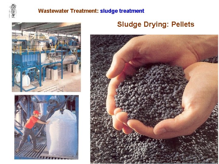 Wastewater Treatment: sludge treatment Sludge Drying: Pellets 