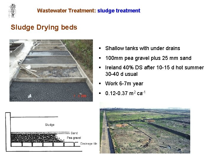 Wastewater Treatment: sludge treatment Sludge Drying beds § Shallow tanks with under drains §