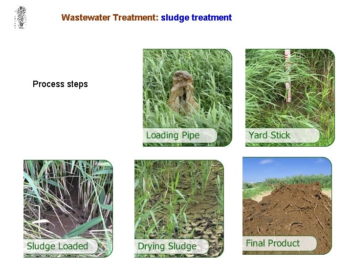 Wastewater Treatment: sludge treatment Process steps 