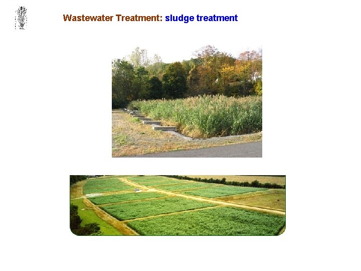 Wastewater Treatment: sludge treatment 