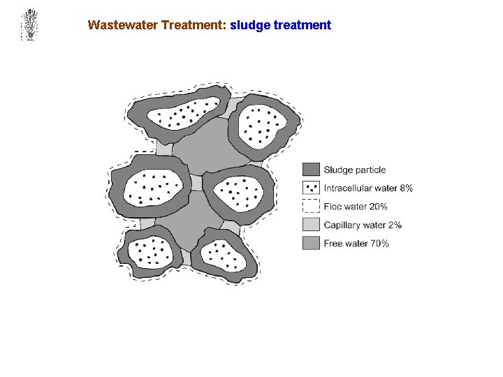 Wastewater Treatment: sludge treatment 